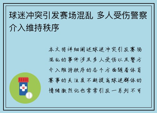 球迷冲突引发赛场混乱 多人受伤警察介入维持秩序